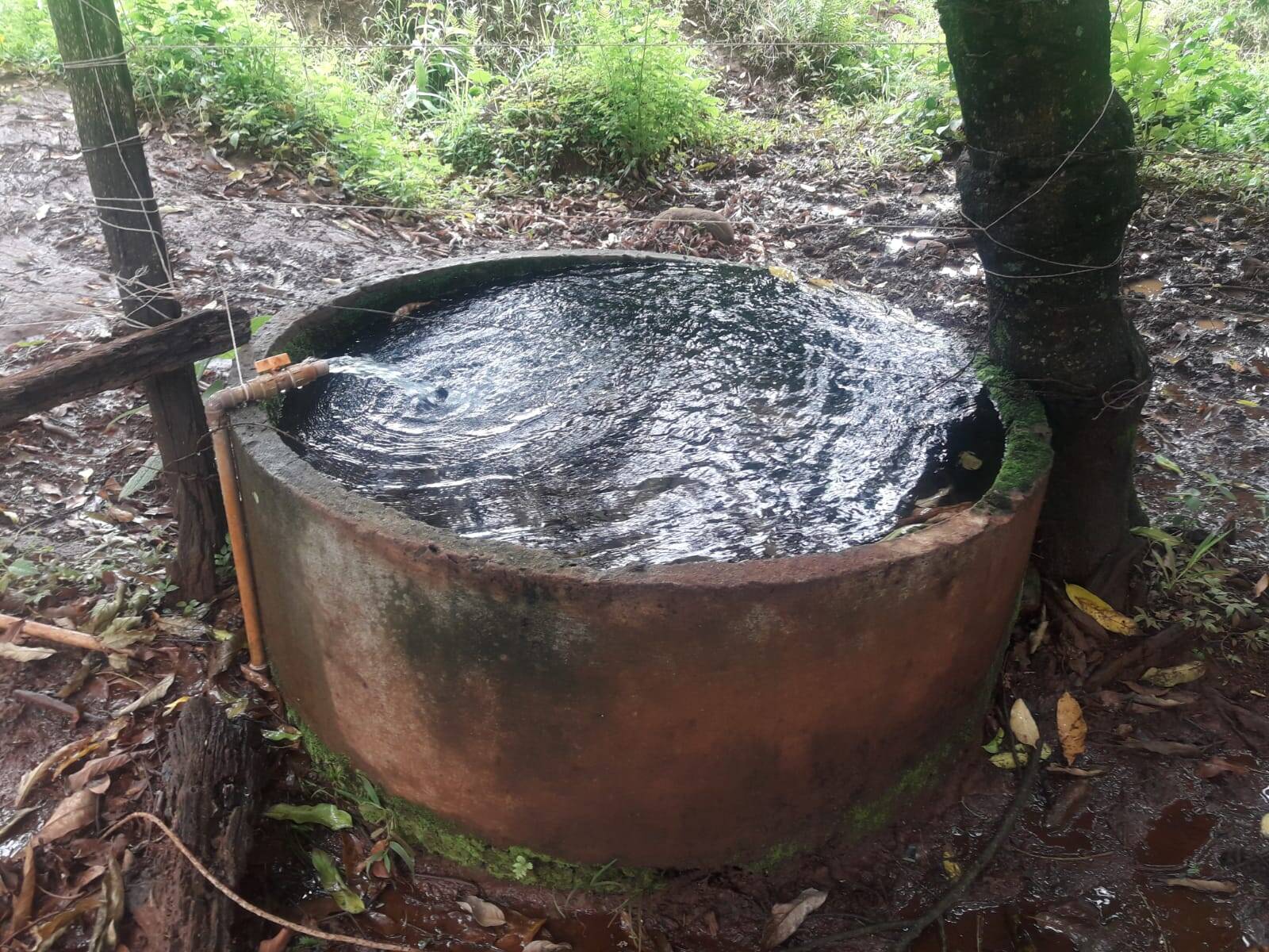 Sítio em São Tomás de Aquino/Minas Gerais — Ref UPHZDS — Imagem 42