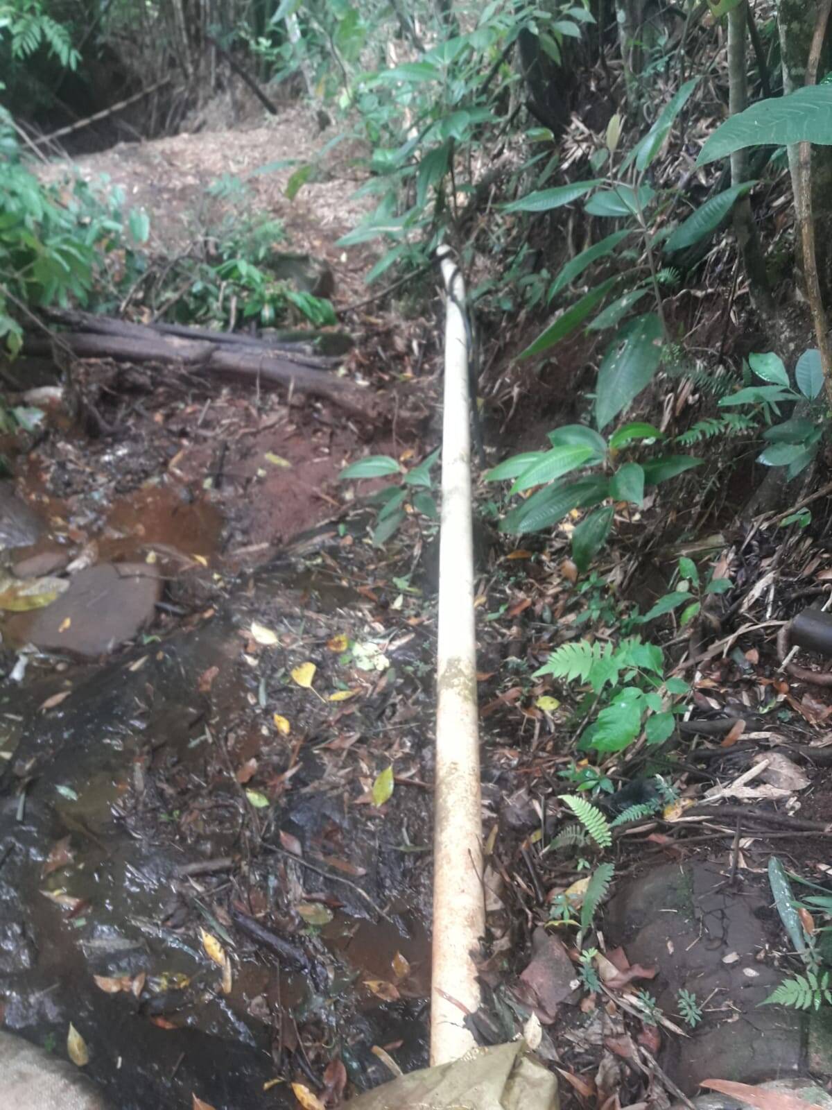Sítio em São Tomás de Aquino/Minas Gerais — Ref UPHZDS — Imagem 49