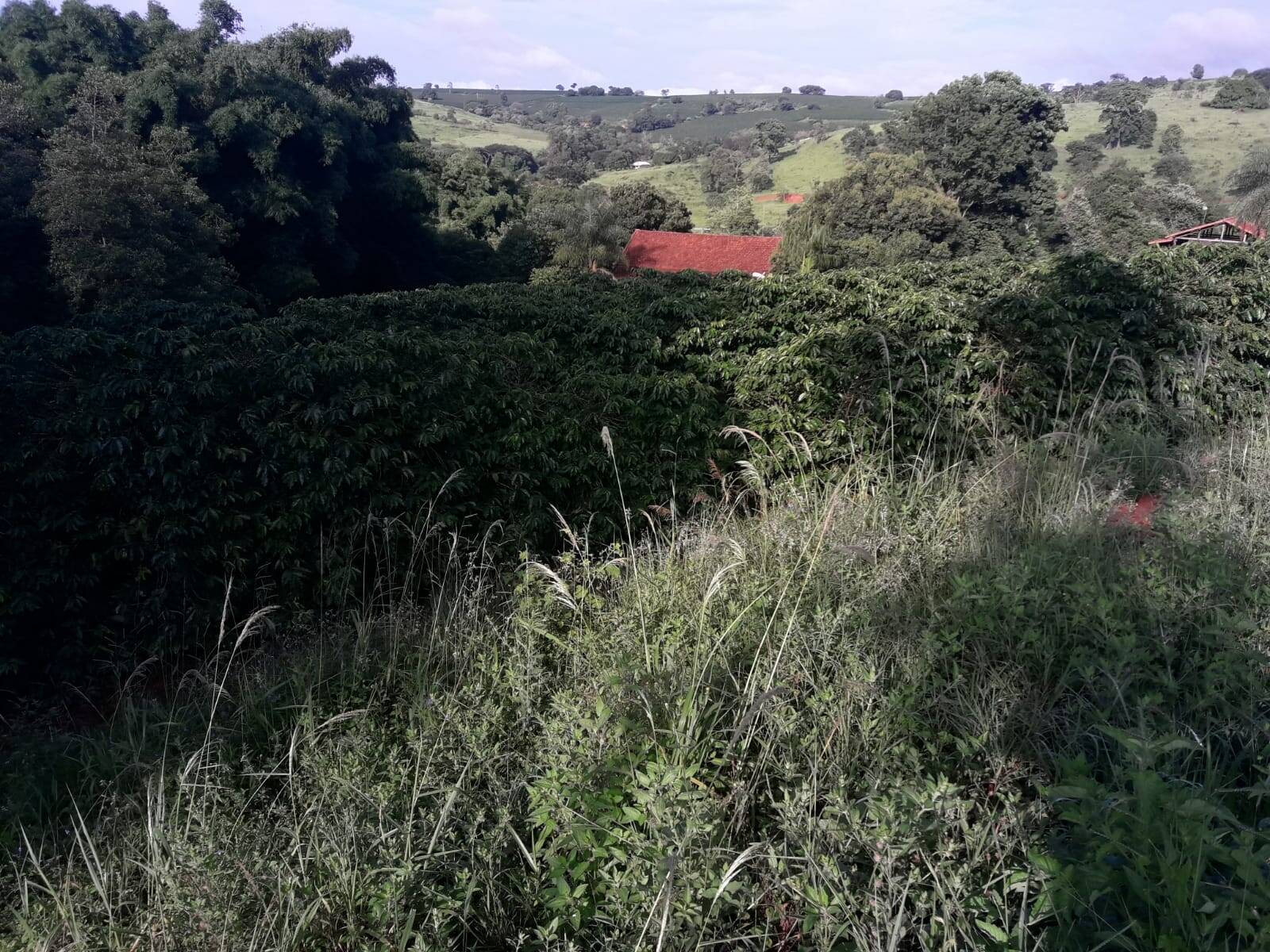 Sítio em São Tomás de Aquino/Minas Gerais — Ref UPHZDS — Imagem 50