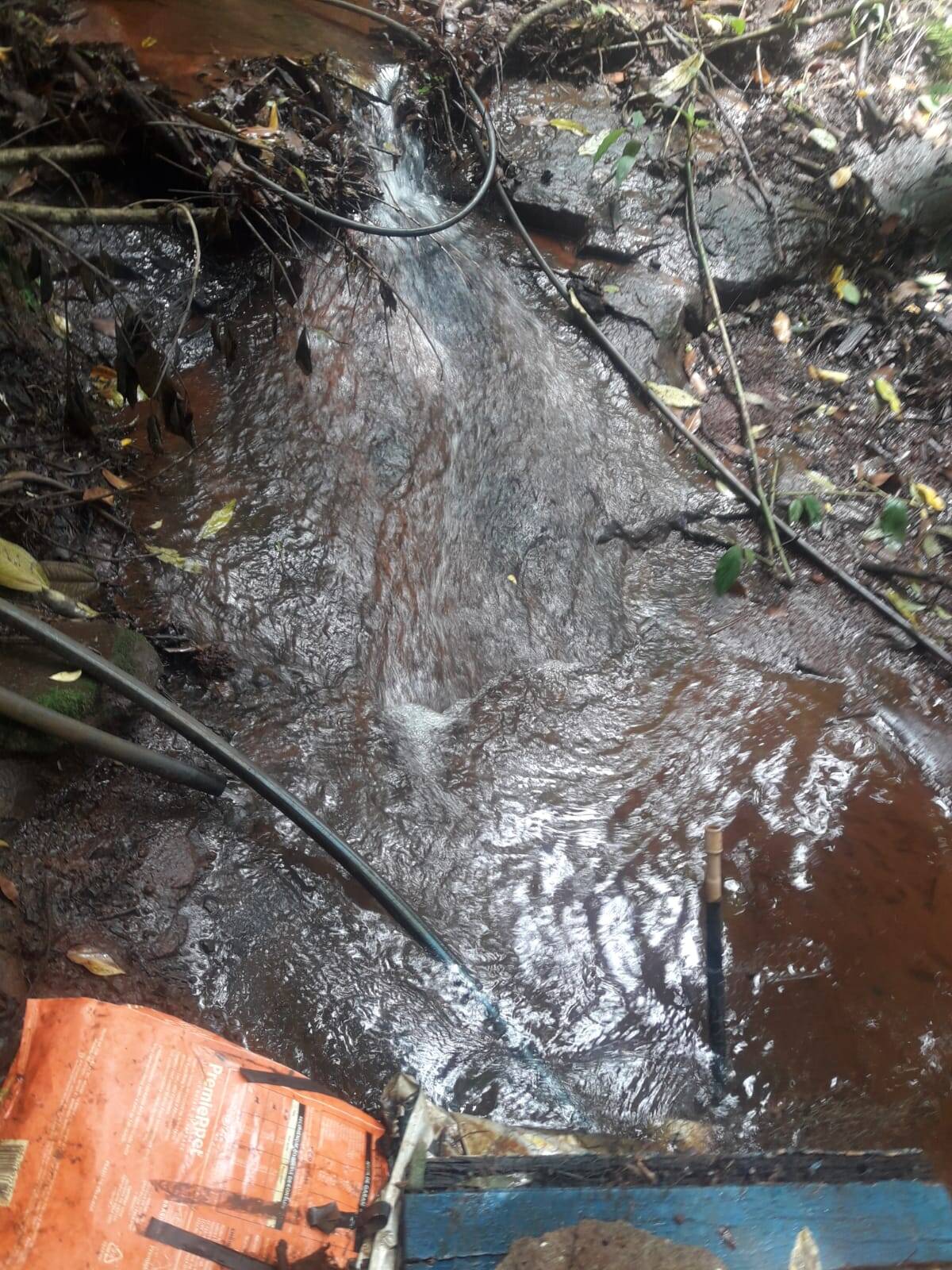 Sítio em São Tomás de Aquino/Minas Gerais — Ref UPHZDS — Imagem 57