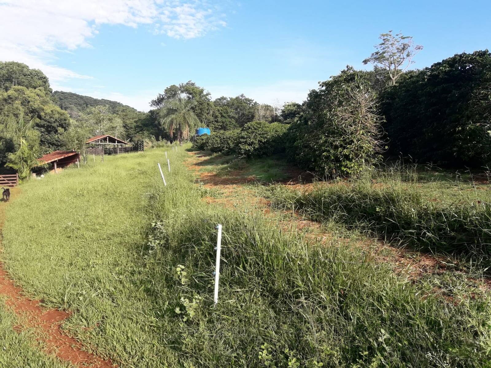 Sítio em São Tomás de Aquino/Minas Gerais — Ref UPHZDS — Imagem 60