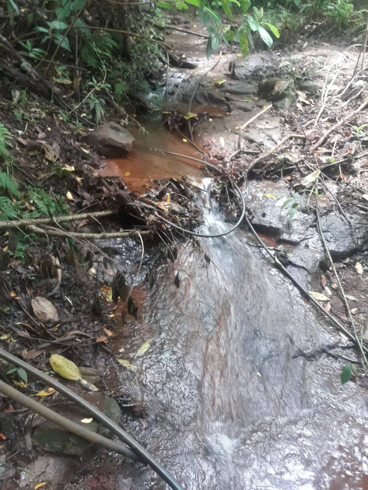Sítio em São Tomás de Aquino/Minas Gerais — Ref UPHZDS — Imagem 62
