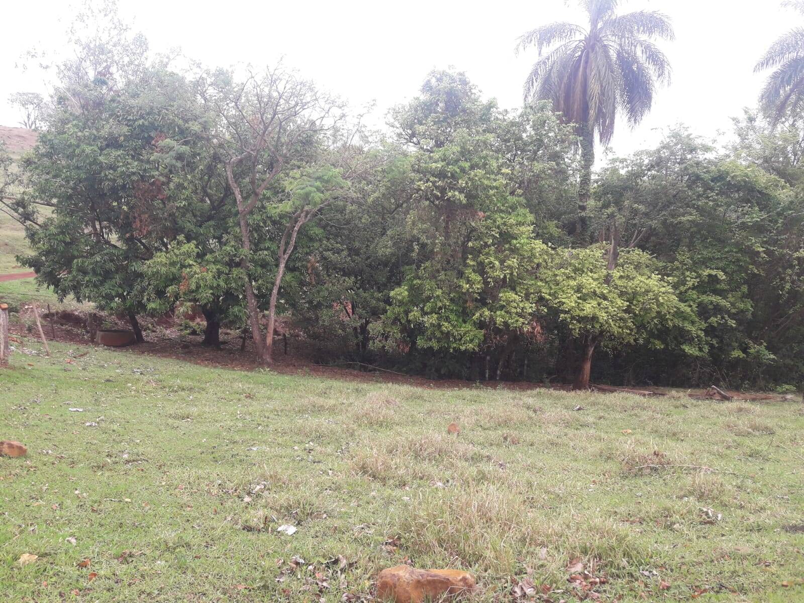 Sítio em São Tomás de Aquino/Minas Gerais — Ref UPHZDS — Imagem 66
