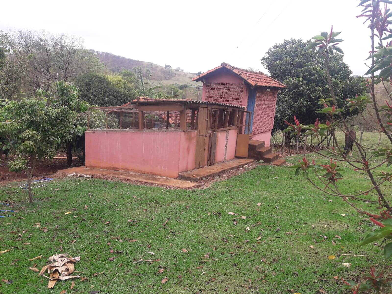 Sítio em São Tomás de Aquino/Minas Gerais — Ref UPHZDS — Imagem 69