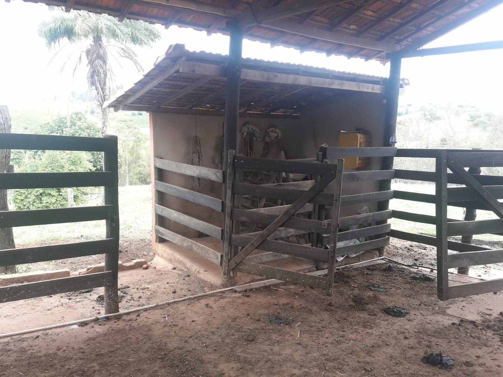 Sítio em São Tomás de Aquino/Minas Gerais — Ref UPHZDS — Imagem 73