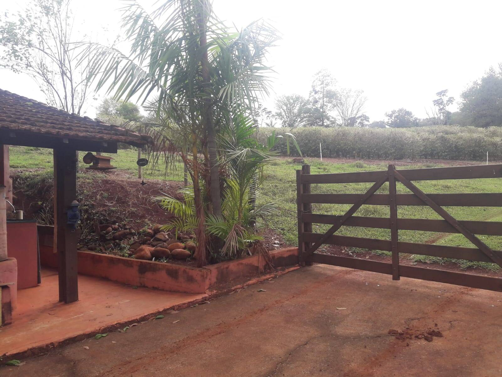 Sítio em São Tomás de Aquino/Minas Gerais — Ref UPHZDS — Imagem 78