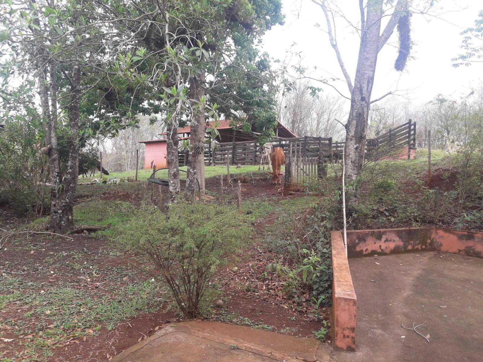 Sítio em São Tomás de Aquino/Minas Gerais — Ref UPHZDS — Imagem 83