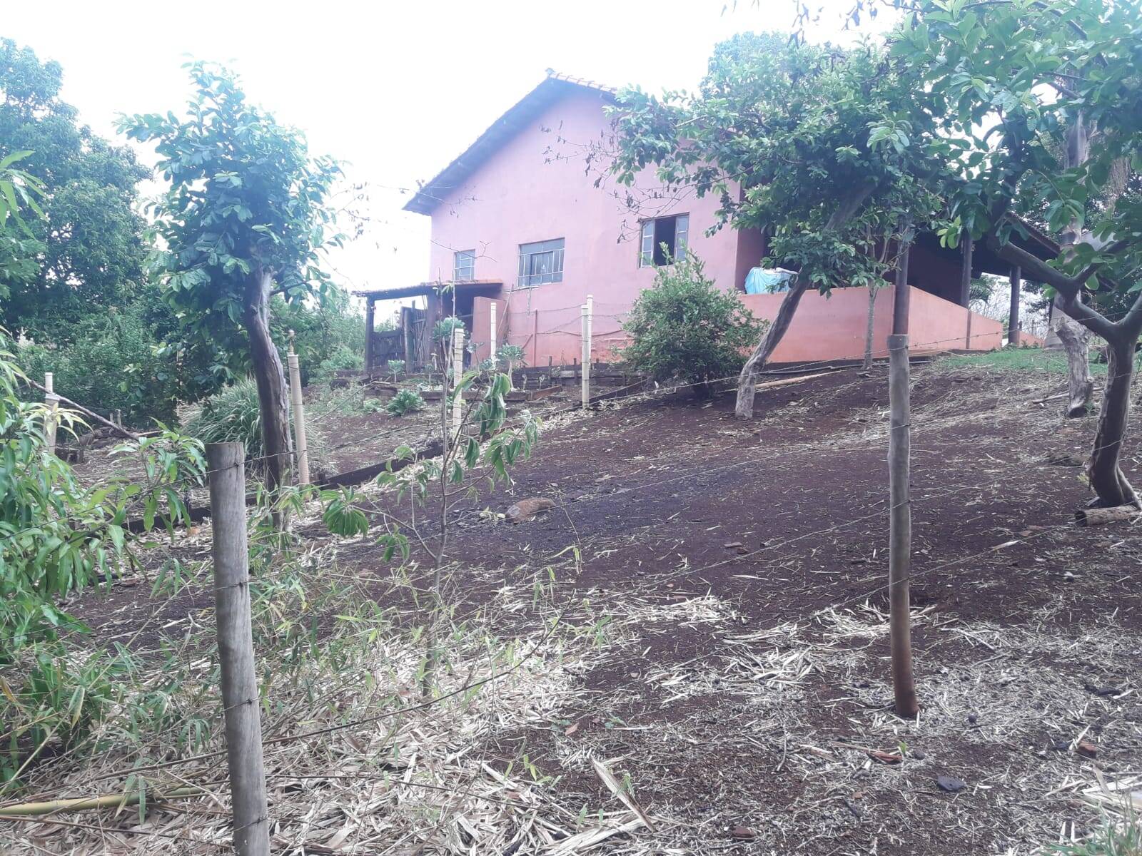 Sítio em São Tomás de Aquino/Minas Gerais — Ref UPHZDS — Imagem 84
