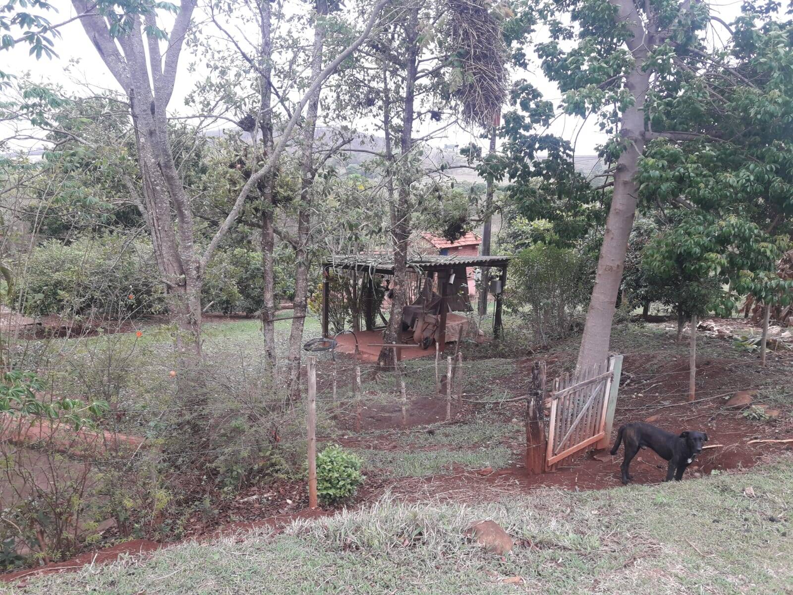 Sítio em São Tomás de Aquino/Minas Gerais — Ref UPHZDS — Imagem 86