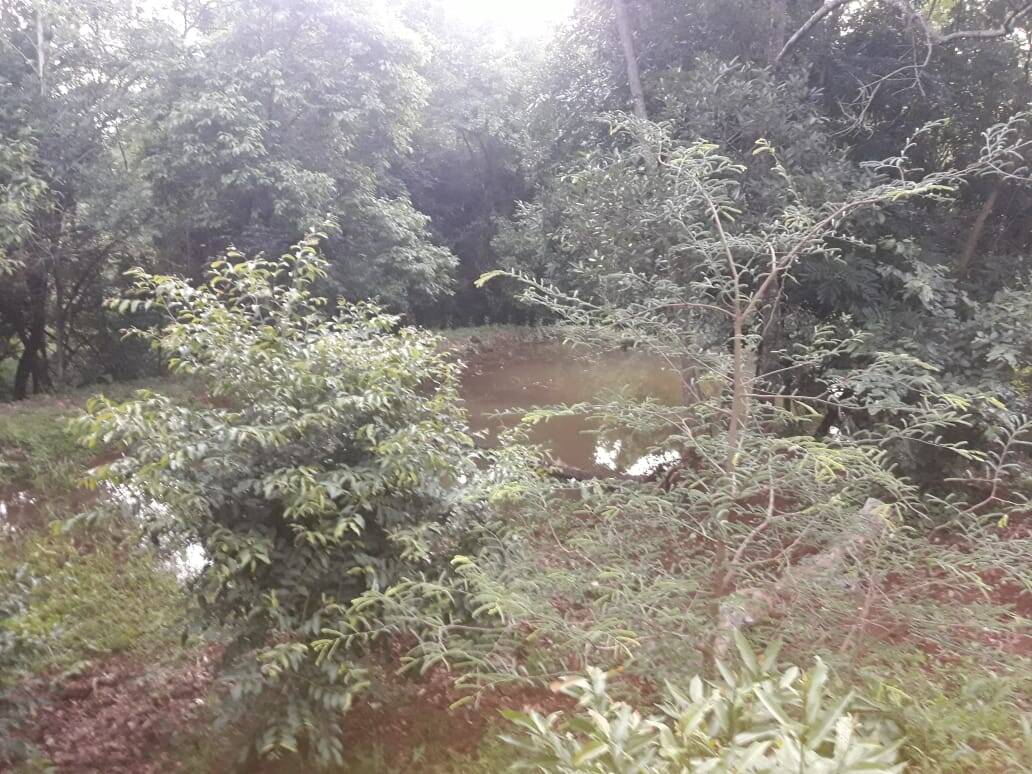 Sítio em São Tomás de Aquino/Minas Gerais — Ref UPHZDS — Imagem 90