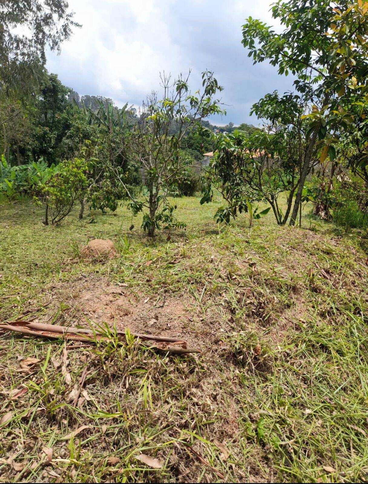 #2658 - Terreno para Venda em Mairiporã - SP