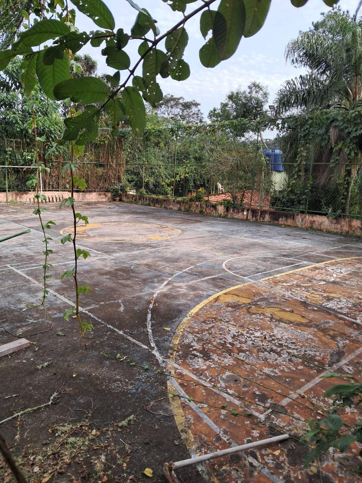 Chácara em Santa Isabel/São Paulo — Ref 4L9IUM — Imagem 3