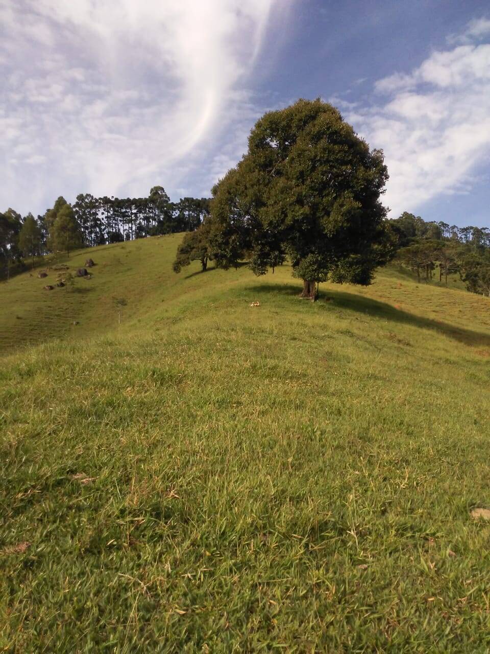 #2701 - Sítio para Venda em Joanópolis - SP