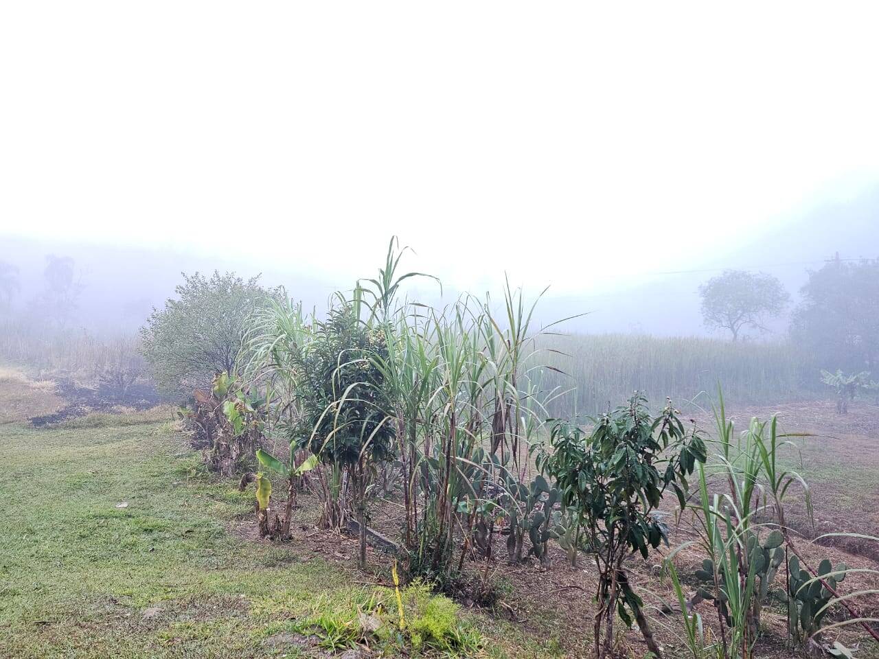 Chácara em Mairiporã/São Paulo — Ref QGGO9M — Imagem 3