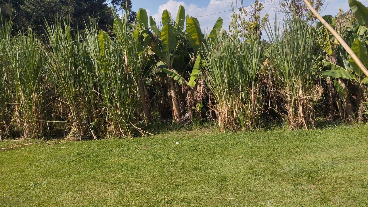 Chácara em Mairiporã/São Paulo — Ref QGGO9M — Imagem 2