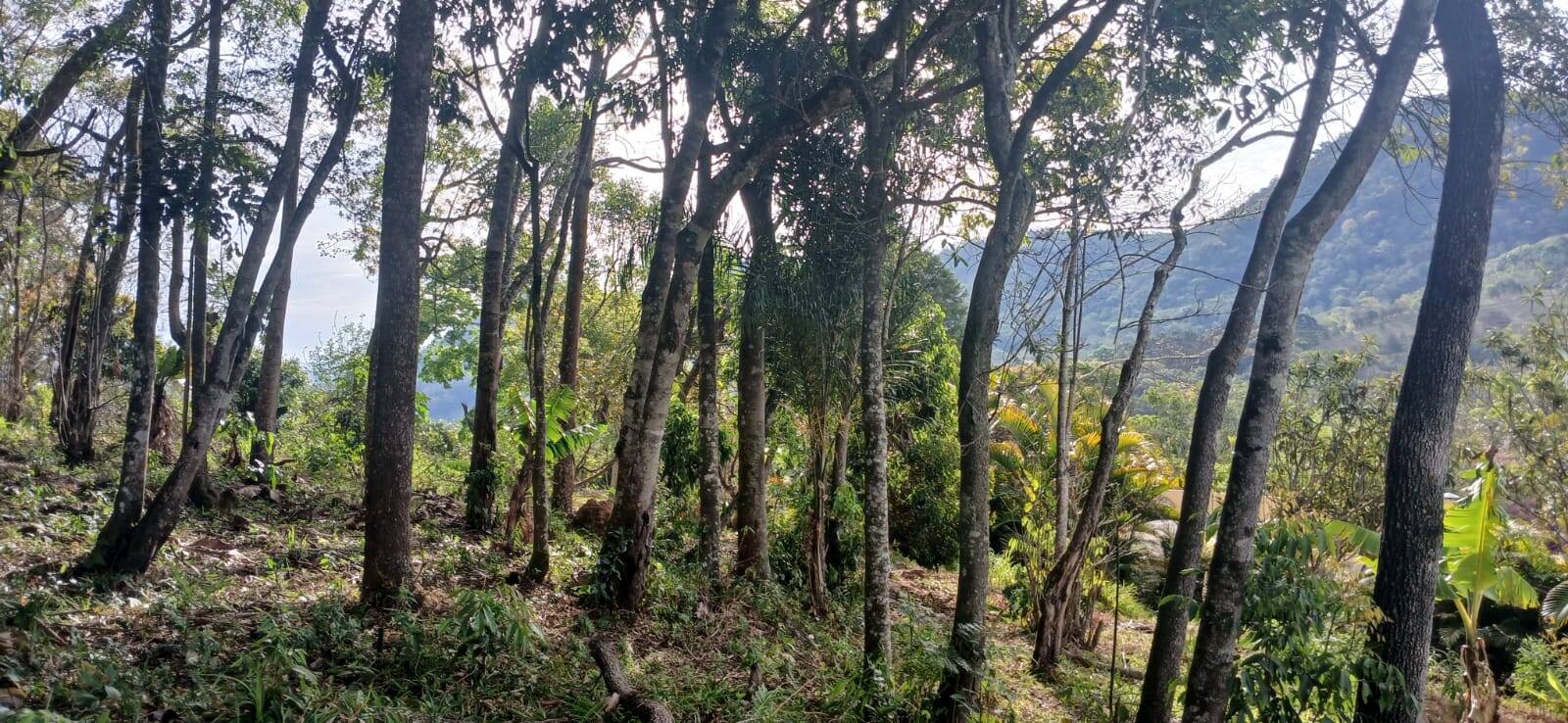 Chácara em Nazaré Paulista/São Paulo — Ref 3SOBUI — Imagem 18