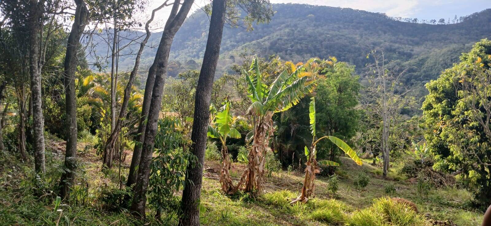Chácara em Nazaré Paulista/São Paulo — Ref 3SOBUI — Imagem 19