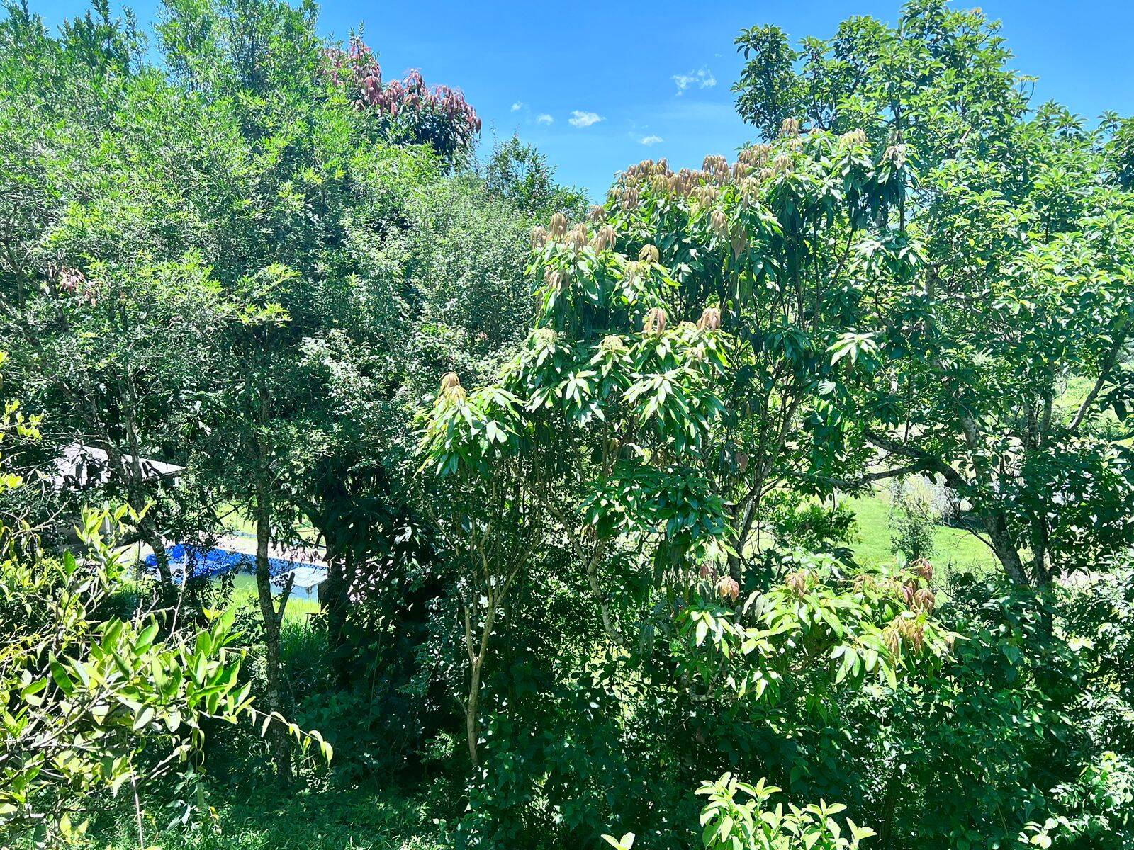 Chácara em Santa Isabel/São Paulo — Ref EJX1O0 — Imagem 11