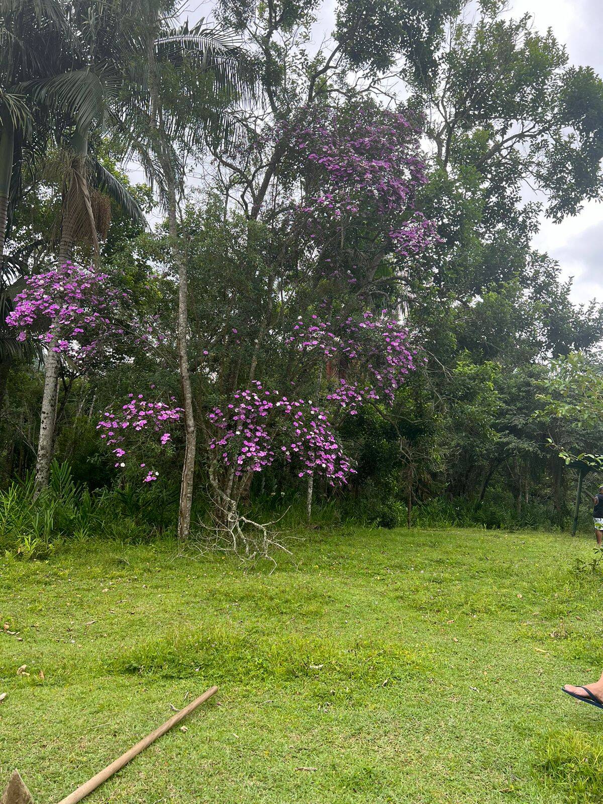 Chácara em Santa Isabel/São Paulo — Ref EJX1O0 — Imagem 9