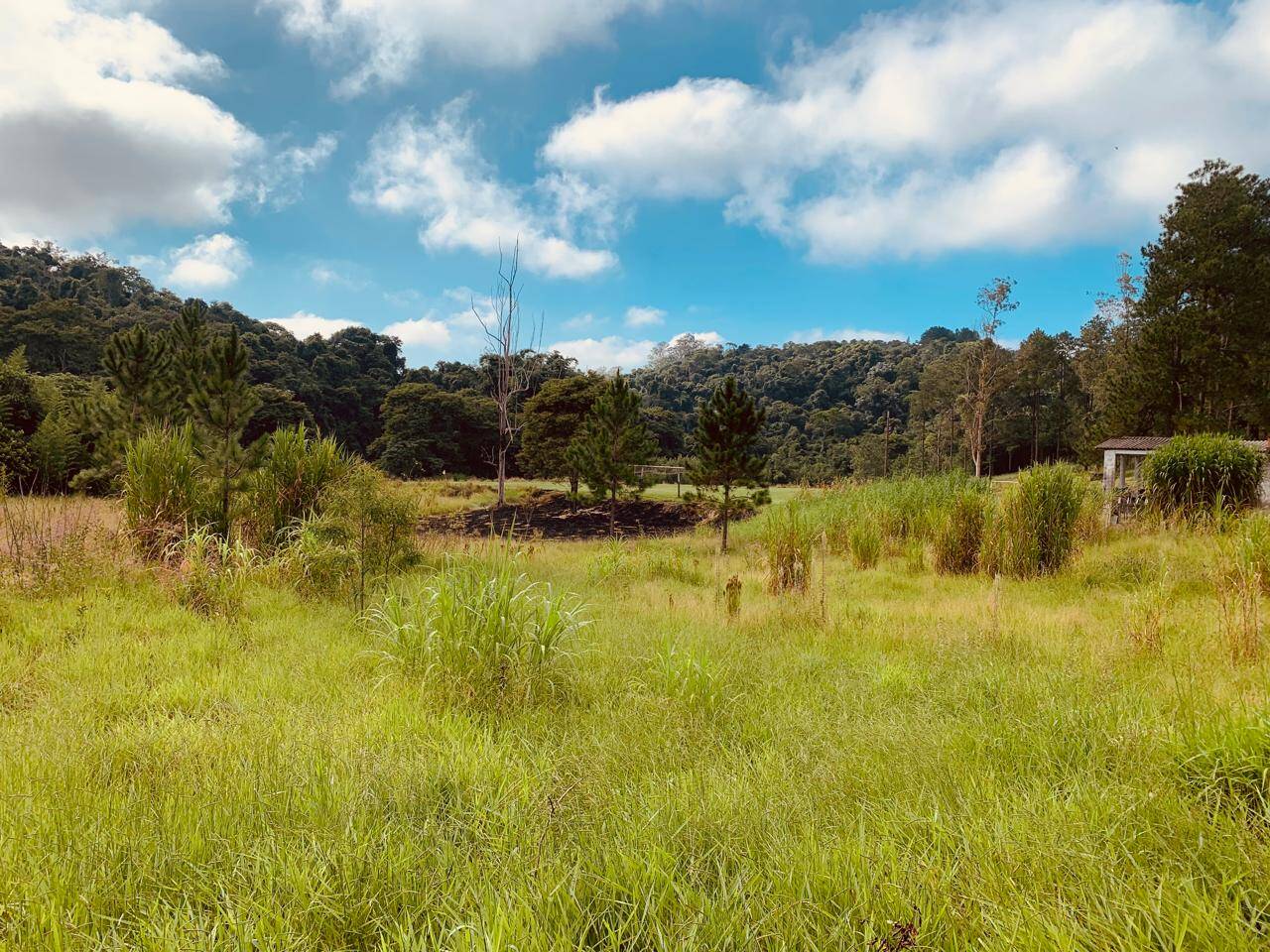 Sítio em Arujá/São Paulo — Ref QV5MCW — Imagem 20