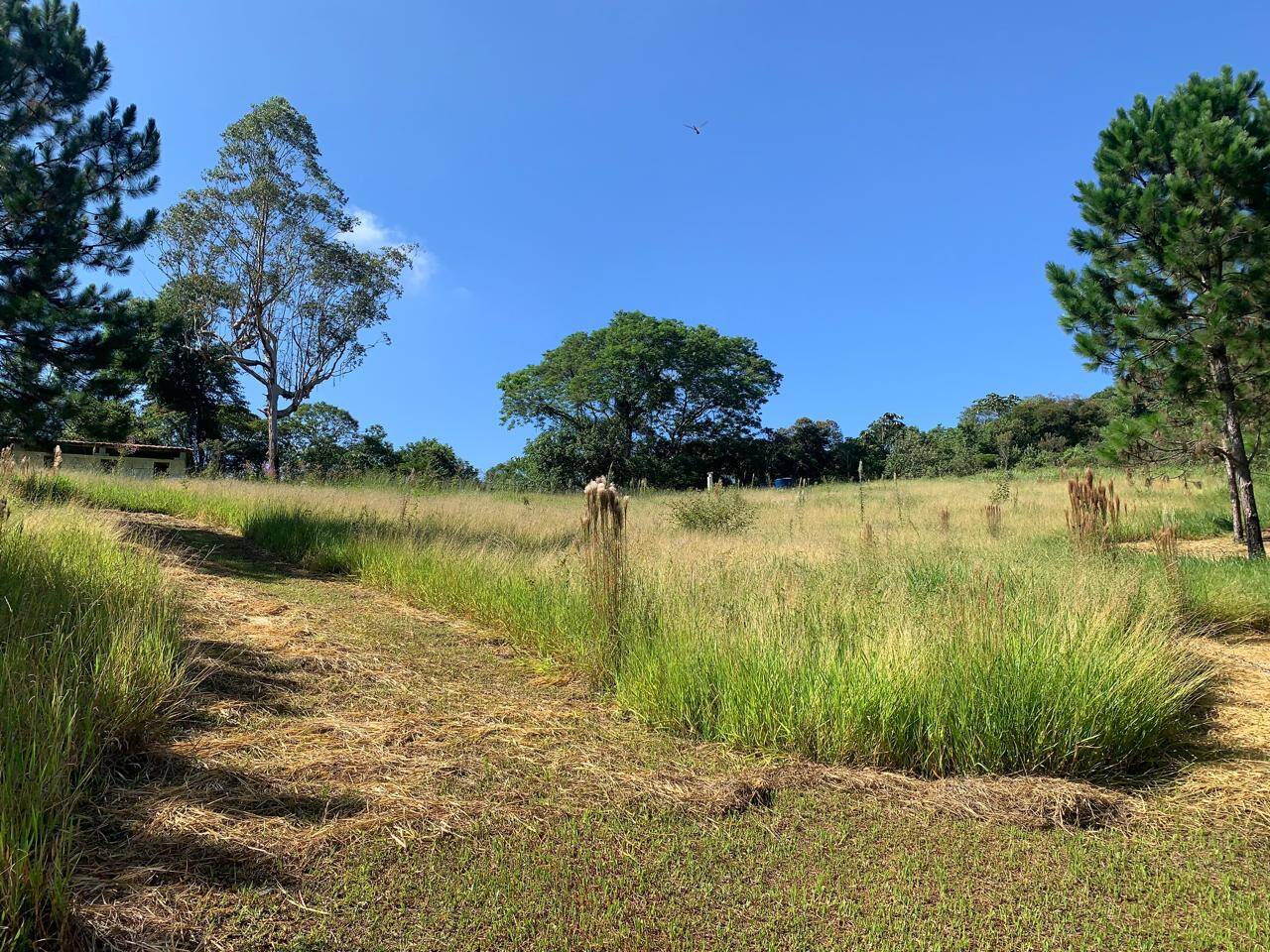 Sítio em Arujá/São Paulo — Ref QV5MCW — Imagem 21