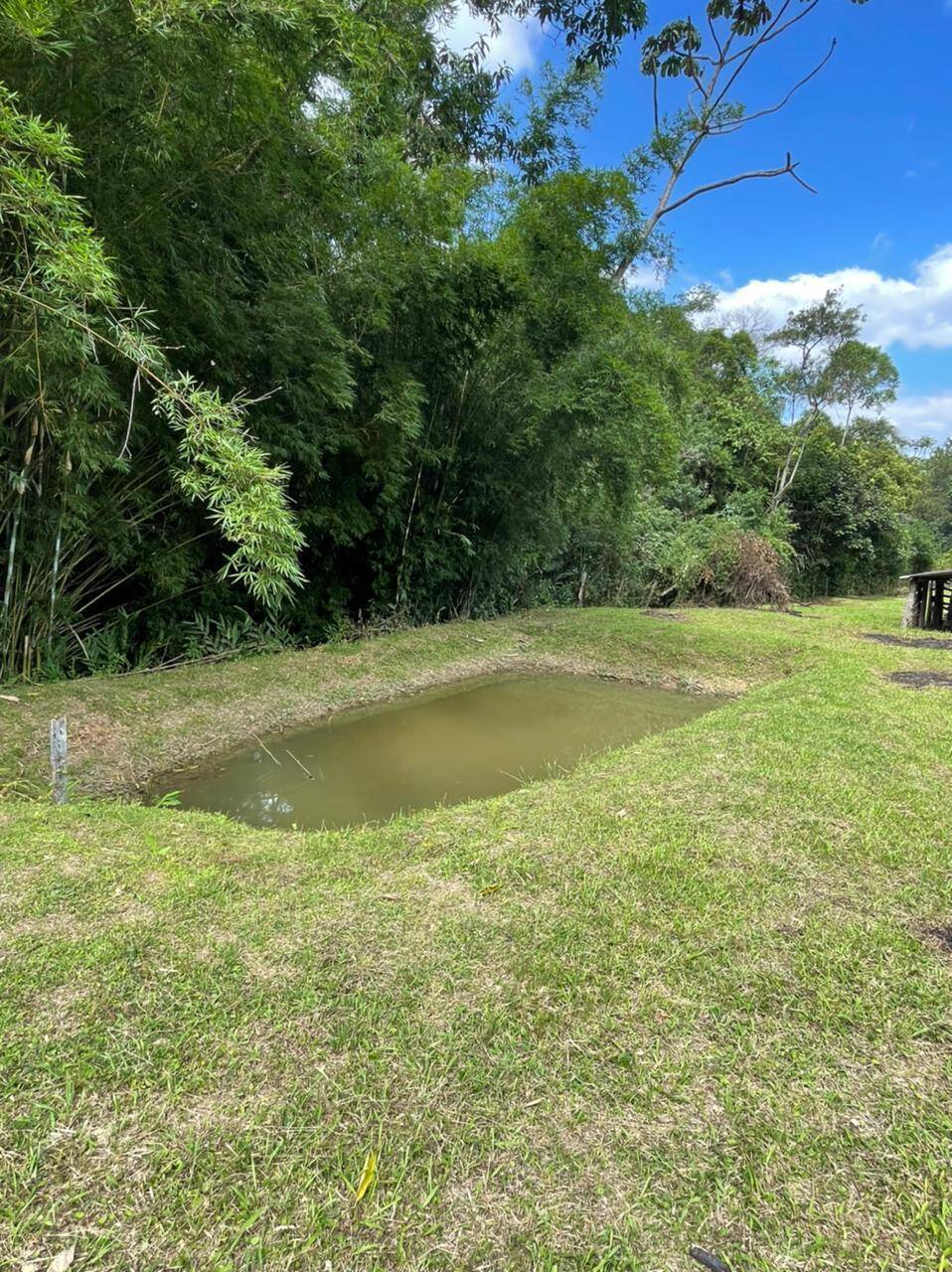 Sítio em Mairiporã/São Paulo — Ref R2N138 — Imagem 5