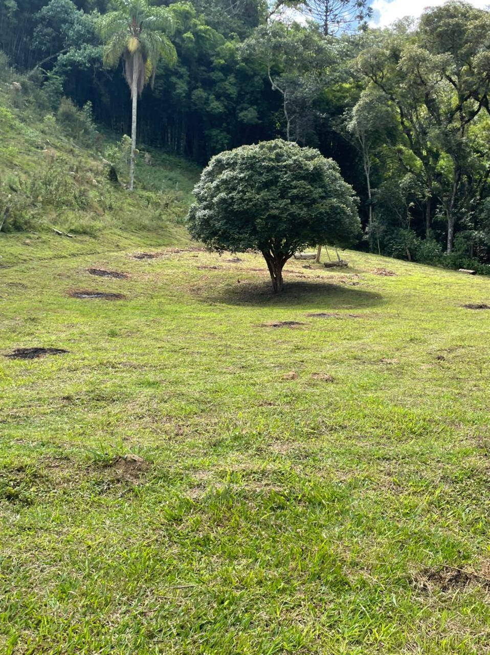 Sítio em Mairiporã/São Paulo — Ref R2N138 — Imagem 10