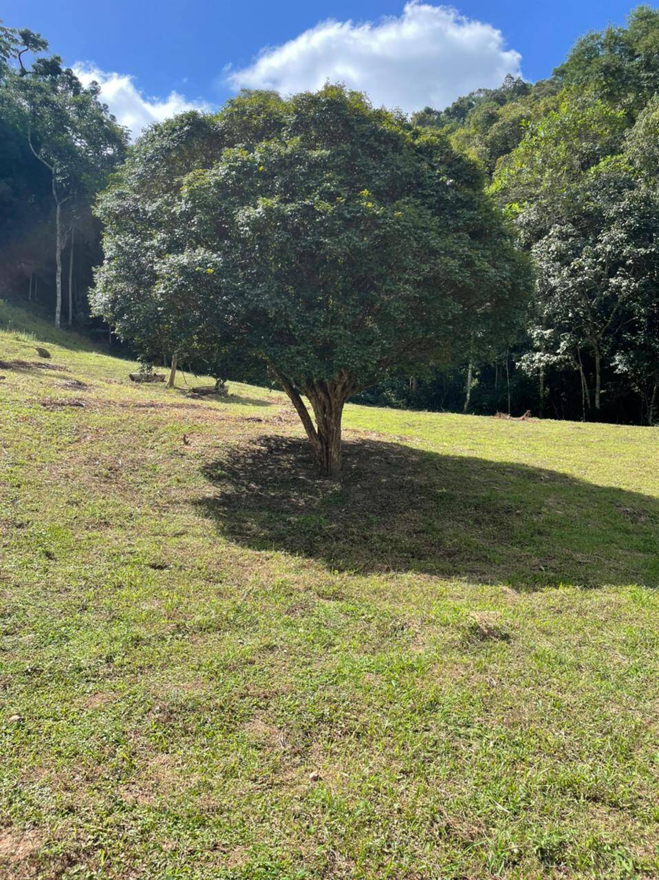 Sítio em Mairiporã/São Paulo — Ref R2N138 — Imagem 16