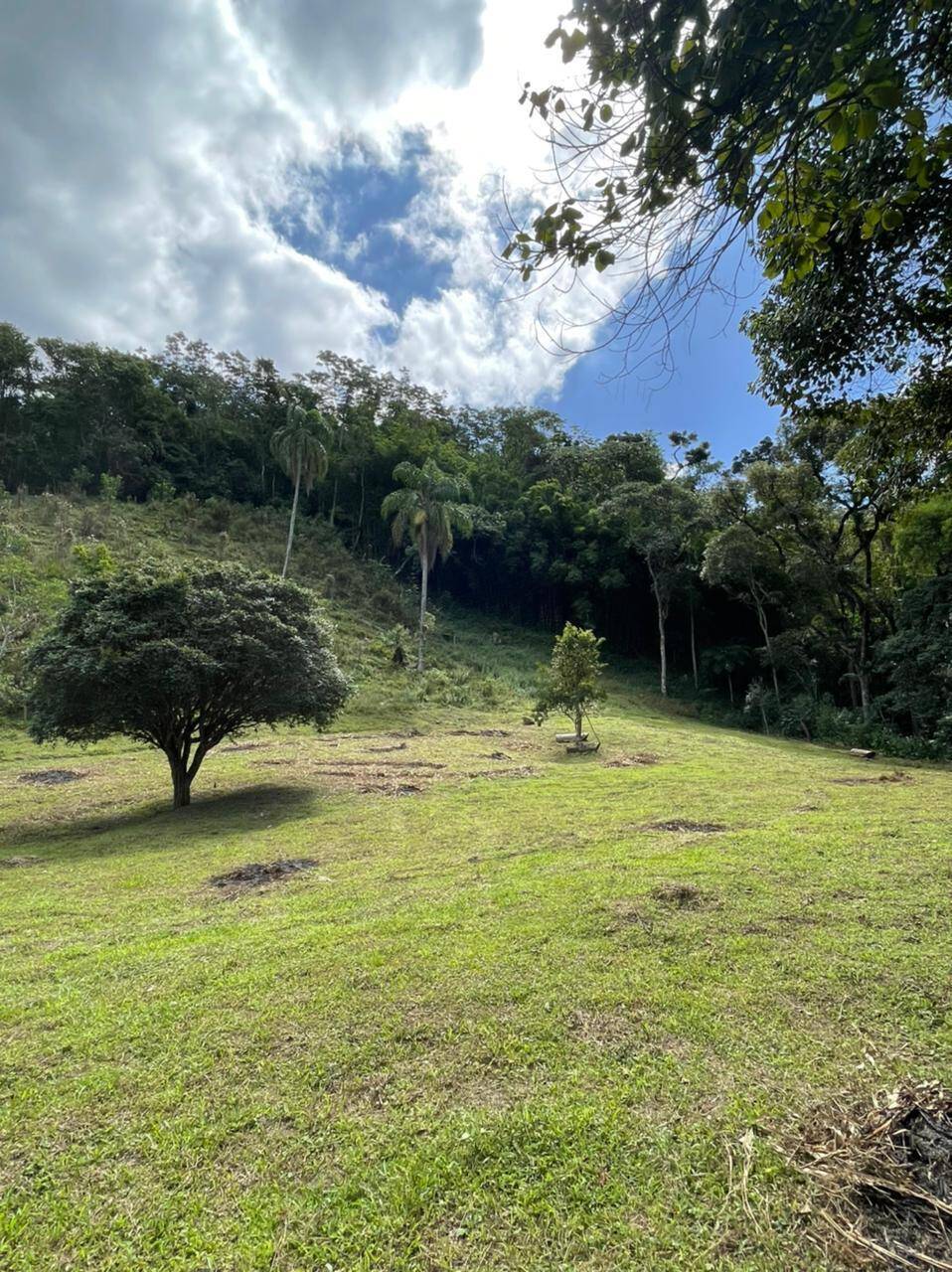 Sítio em Mairiporã/São Paulo — Ref R2N138 — Imagem 14