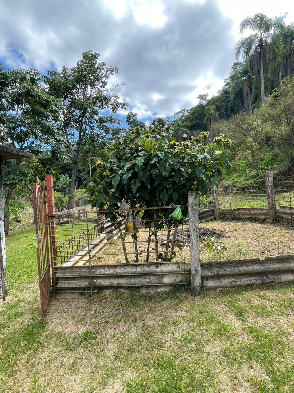 Sítio em Mairiporã/São Paulo — Ref R2N138 — Imagem 19