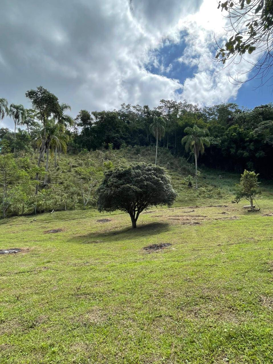 Sítio em Mairiporã/São Paulo — Ref R2N138 — Imagem 20