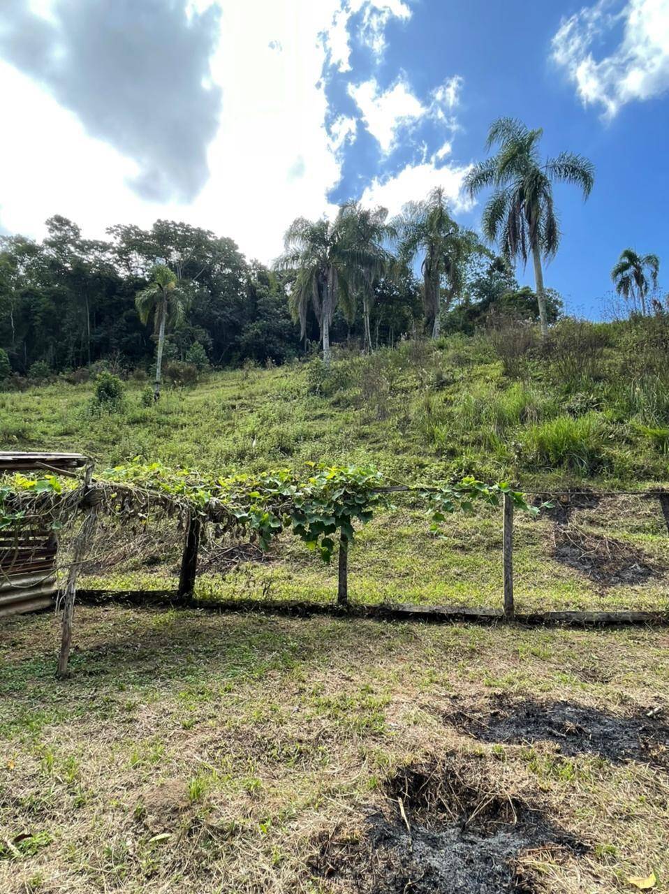 Sítio em Mairiporã/São Paulo — Ref R2N138 — Imagem 22