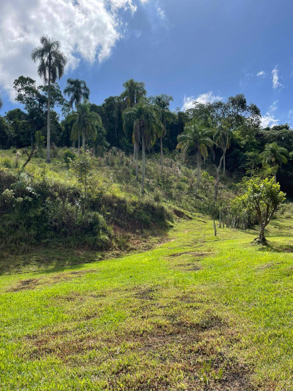 Sítio em Mairiporã/São Paulo — Ref R2N138 — Imagem 28