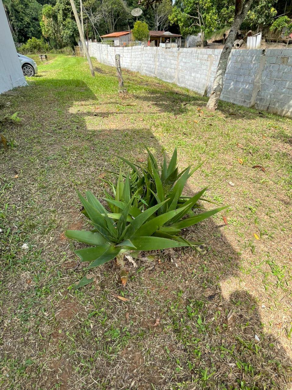 Sítio em Mairiporã/São Paulo — Ref R2N138 — Imagem 30