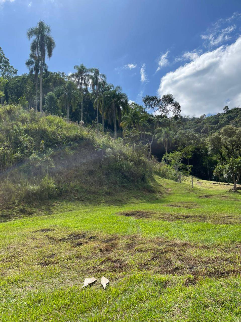 Sítio em Mairiporã/São Paulo — Ref R2N138 — Imagem 31