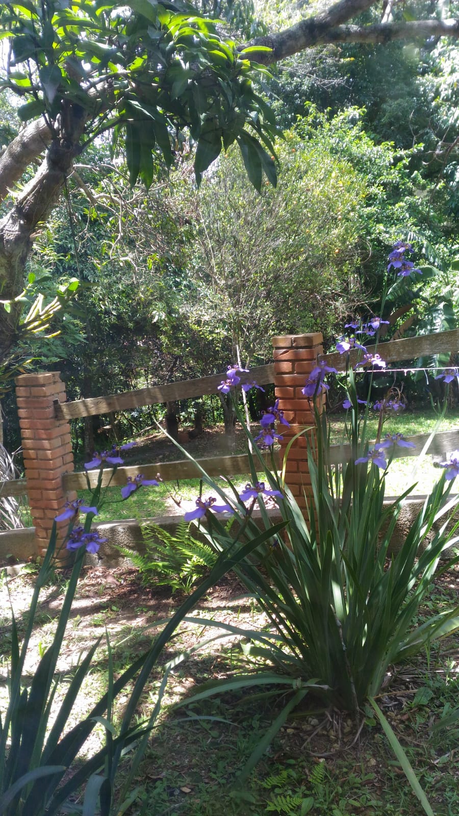 Chácara em Mairiporã/São Paulo — Ref EJDSXX — Imagem 5