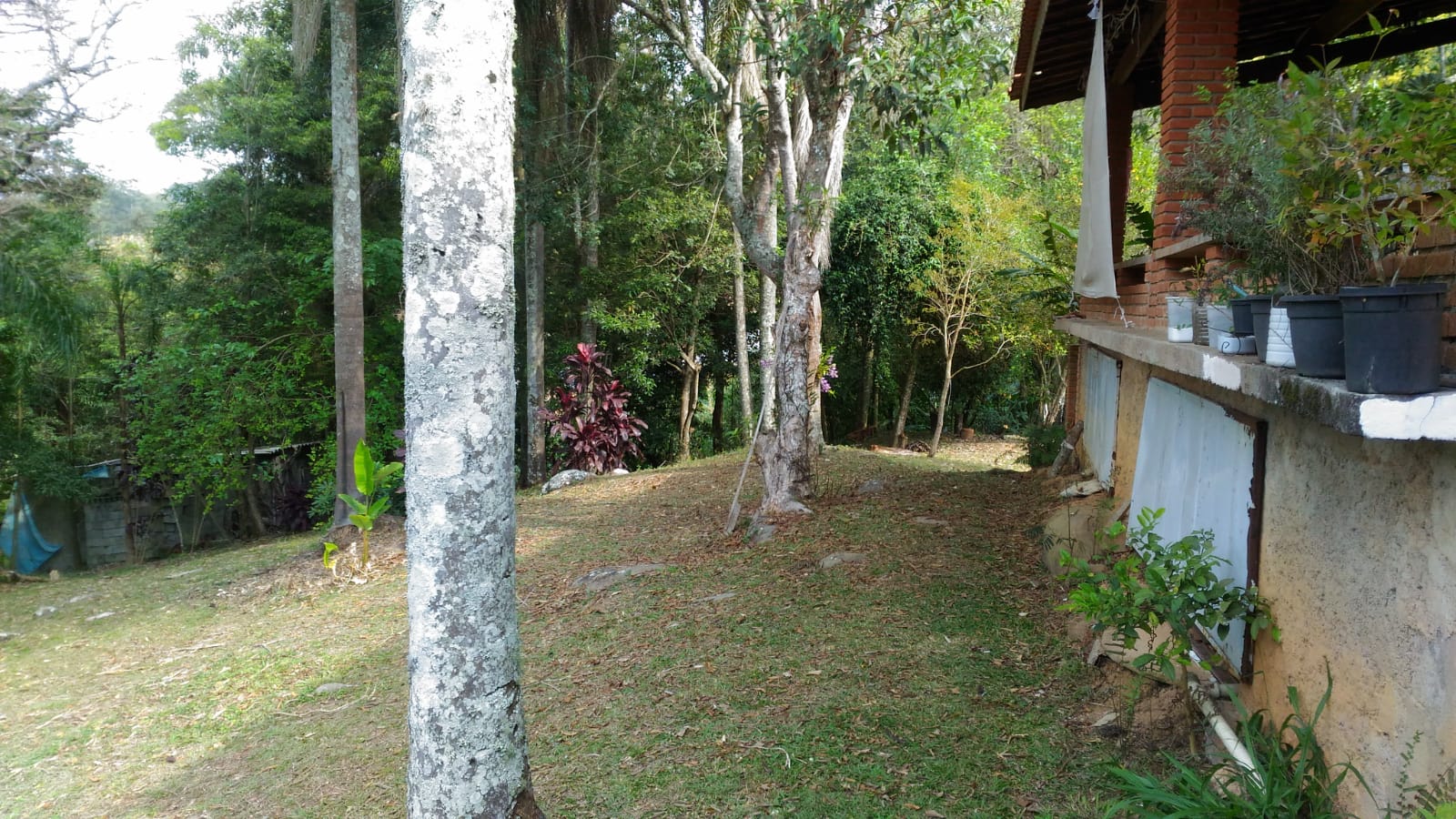 Chácara em Mairiporã/São Paulo — Ref EJDSXX — Imagem 41