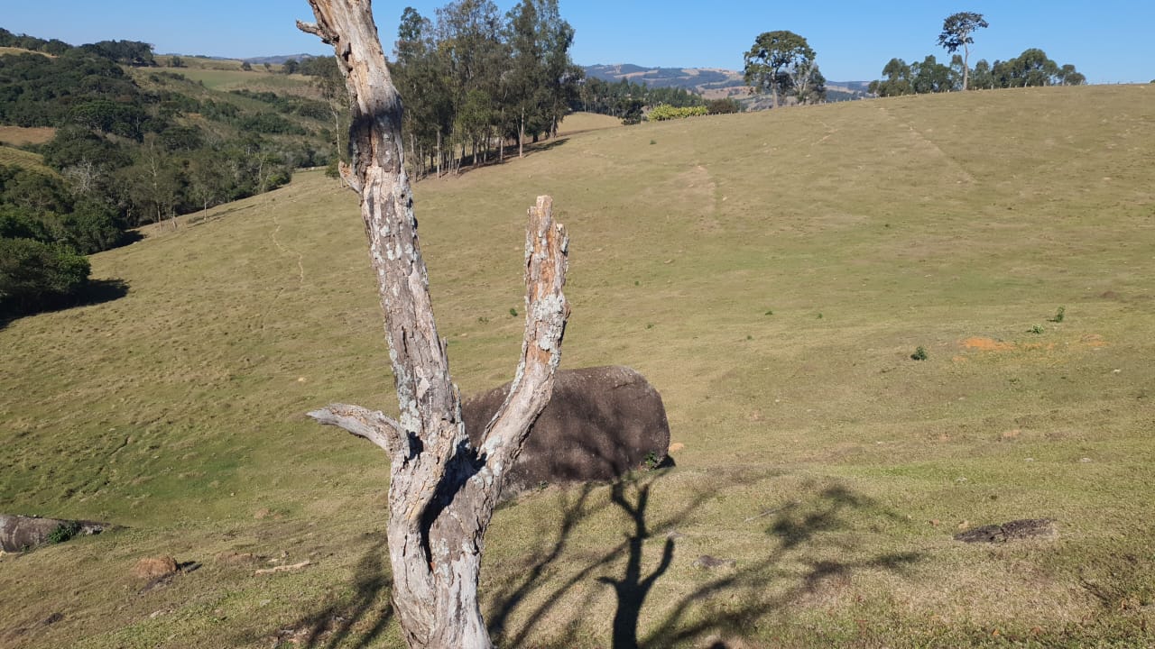 #2531 - Sítio para Venda em Bueno Brandão - MG