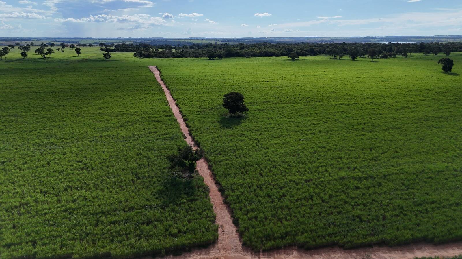 #0017 - Chácara para Venda em Cardoso - SP