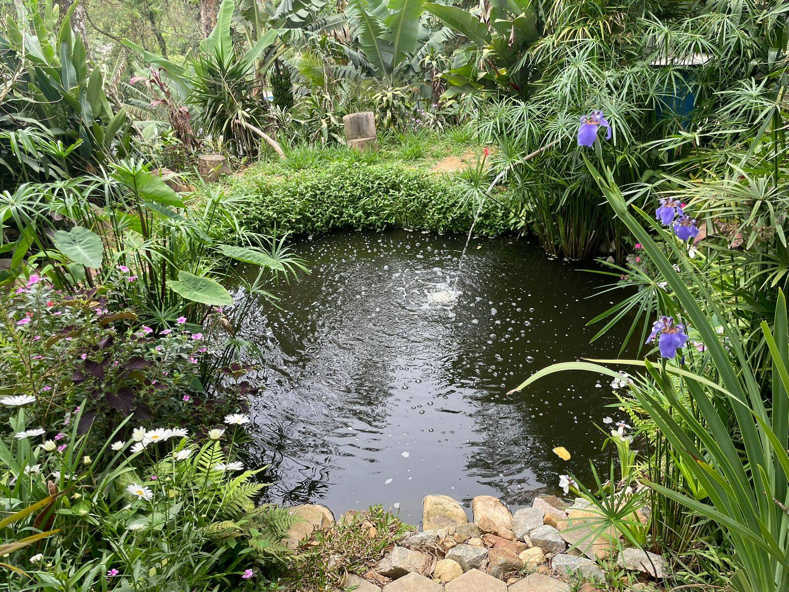 #2700 - Chácara para Venda em Guarulhos - SP