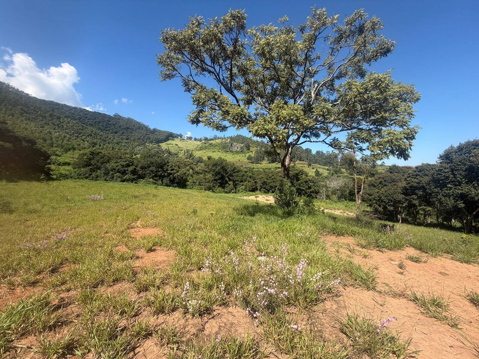 #2856 - Terreno para Venda em Joanópolis - SP