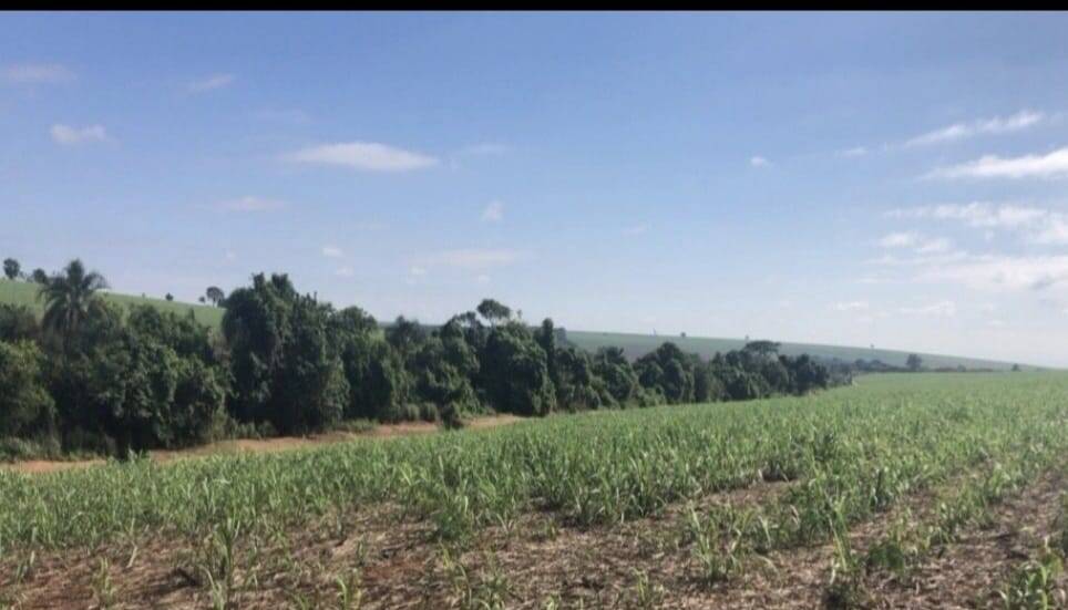 #2874 - Fazenda para Venda em Araraquara - SP