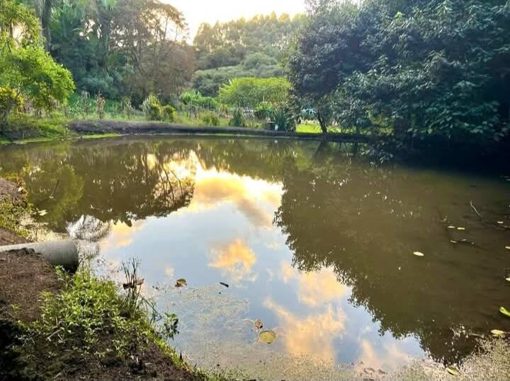 #2612 - Chácara para Venda em Pedra Bela - SP