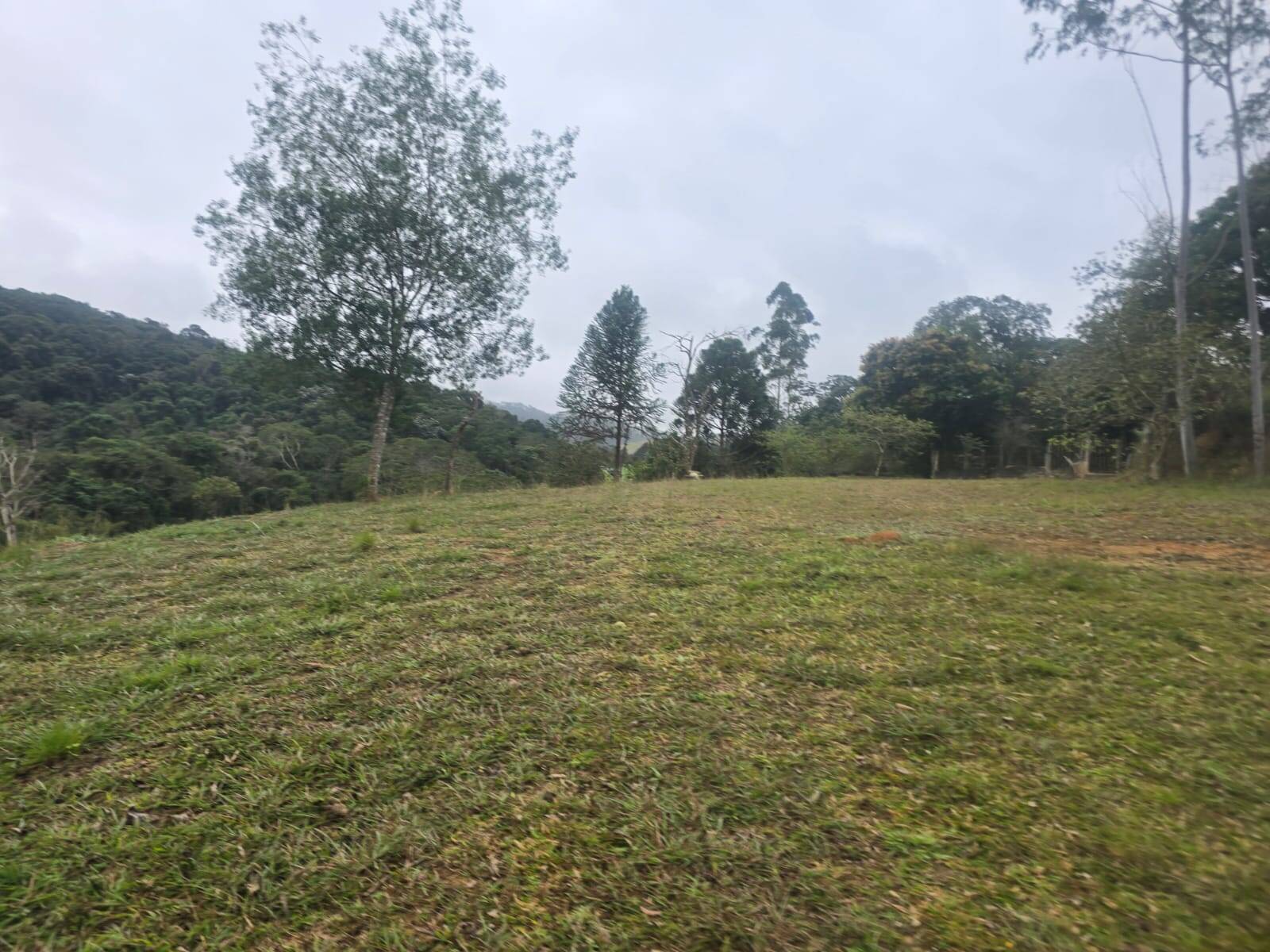 #2899 - Sítio para Venda em Santa Isabel - SP