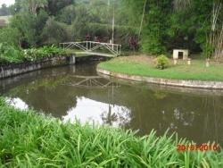 Venda em Cachoeirinha - Bom Jesus dos Perdões