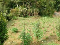 Terreno para Venda em Mairiporã - 3