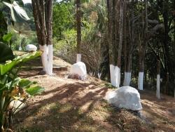 Chácara para Venda em Mairiporã - 3