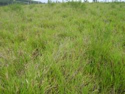 Áreas Industriais para Venda em Atibaia - 4