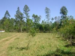 Áreas Industriais para Venda em Atibaia - 4