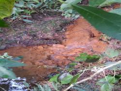 Área para Venda em Mairiporã - 4